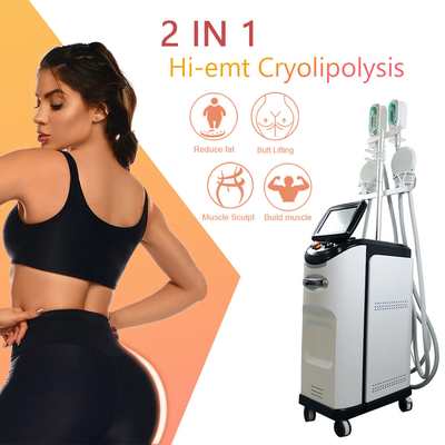 Удаление целлюлита Cryo машины 360 Cryolipolyse EMS жирное замерзая