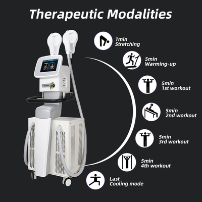 Astiland 220V EMT Sculptmax EMS уменьшая машину
