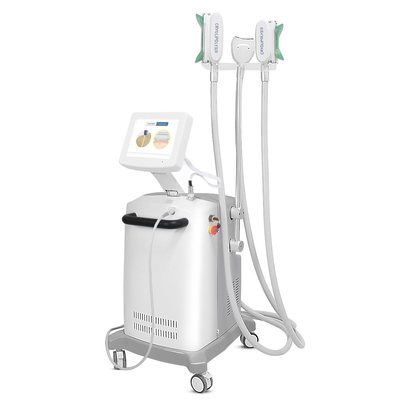 Живот горя высокое эффективное Cryolipolysis уменьшая машину