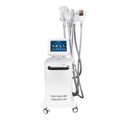 4500W 5 регулирует машину Cryotherapy жирную замерзая для потери веса