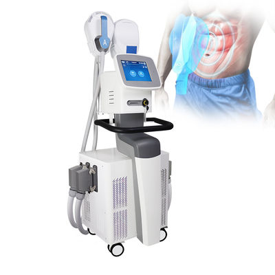CE машины EMS EMS SCULPTING 4 ручек аттестованный для тела уменьшая мышцу Buliding